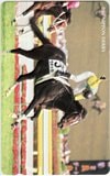 ウオッカ 2007 日本ダービー