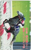 ビワハヤヒデ 第54回 菊花賞