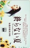 瀬戸朝香 終らない夏 中京テレビ
