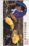 松原のぶえ 両神村ふるさとまつり
