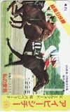 アイビーシチー 私の愛馬