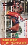 キョウトシチー 松永幹夫 私の愛馬