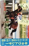 キョウトシチー 第17回白山大賞典優勝 私の愛馬
