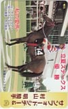 サンフォードシチー 村山明 私の愛馬