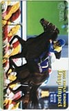 ディープインパクト 第66回菊花賞 JRA オッズカード10