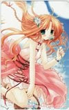 ホワイトキャンバス 桜沢いづみ