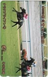 ナリタブライアン 第55回菊花賞 早田牧場 | 中央競馬（な） | カード
