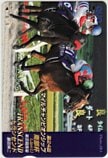 第24回 マイルチャンピオンシップ トランセンド クオカード500