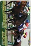 第65回 阪神ジュベナイルフィリーズ レッドリヴェール クオカード500