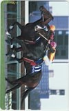 フラワーパーク