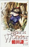 Spirit of Wonder 鶴田謙二 モーニング