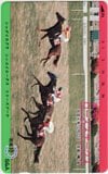 第7回 ローズステークス シャダイカグラ シンエイロータス リリーズブーケ