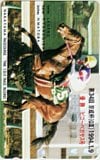 第34回京成杯 ビコーペガサス