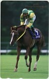 マヤノトップガン 37th