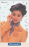 酒井法子 けんしんよう