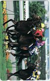 マーベラスサンデー 第39回宝塚記念