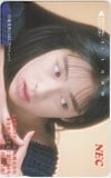 川越美和 日本電気テクノシステム株式会社 NEC