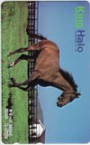 キングヘイロー シリーズ2001-1