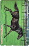 コマンダーインチーフ ’97新種牡馬チャンピオン