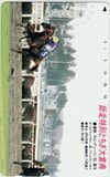 マロンデューク 師走特別とちぎ大賞典