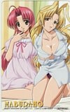 まぶらほ メガミマガジン