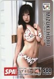 堀井美月 SPA! グラビアン魂 ウェブマネーカード500