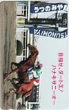 ハナキサニーオー 目指せ、ダート王