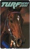 TURF HERO 2000 テイエムオペラオー