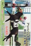 アリババシチー 四位洋文騎手 私の愛馬 クオカード500