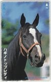 ハギノトップレディ 名馬シリーズ9