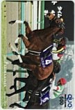 ジェンティルドンナ 2014 有馬記念 クオカード500