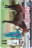 マーリンシチー 佐藤哲三 私の愛馬 クオカード500