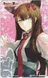 STEINS;GATE シュタインズゲート 比翼恋理のだーりん
