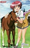 ときめきメモリアル2 陽ノ下光
