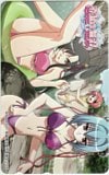 恋姫無双