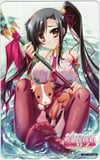恋姫夢想