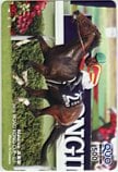 モーリス 2016 香港カップ クオカード500
