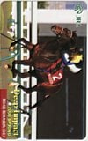 ディープインパクト オッズカード10