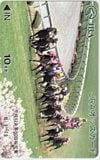 第60回桜花賞 オッズカード10