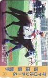 キャロルシチー 吉田豊 私の愛馬