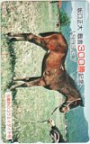 コウエイダイヤ 坂口正大 厩舎300勝記念