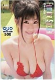 鈴木ふみ奈 ヤングチャンピオン クオカード500