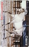 オグリキャップ '99 第8回オグリキャップ記念 笠松けいば