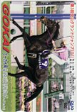 ゴーカイ 第3回中山グランドジャンプ クオカード500