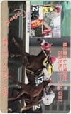 ディスコホール 第8回テレビ東京賞 3歳牝馬ステークス