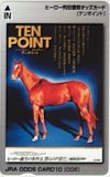 テンポイント ヒーロー列伝復刻オッズカード10