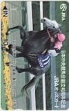ビワハヤヒデ 日本中央競馬会創立40周年記念 オッズカード10