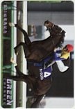 ディープインパクト 第51回有馬記念 GREEN CHANNEL クオカード500