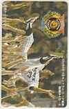 星野仙一 阪神タイガース 2003 優勝 図書カード500