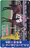 アデレードシチー 藤田伸二 私の愛馬